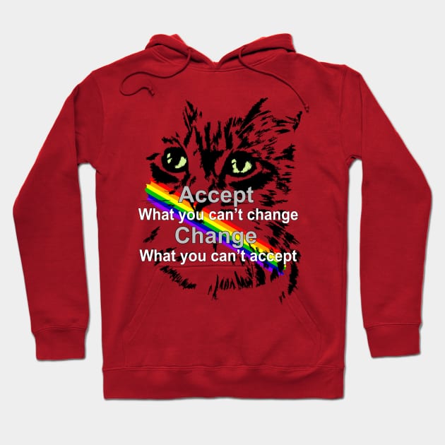 Motivation - Accept what you can't change and change what you can't accept Hoodie by GaYardo